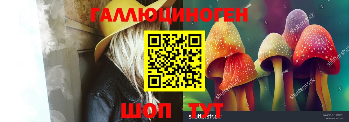 Псилоцибиновые грибы Psilocybe Людиново